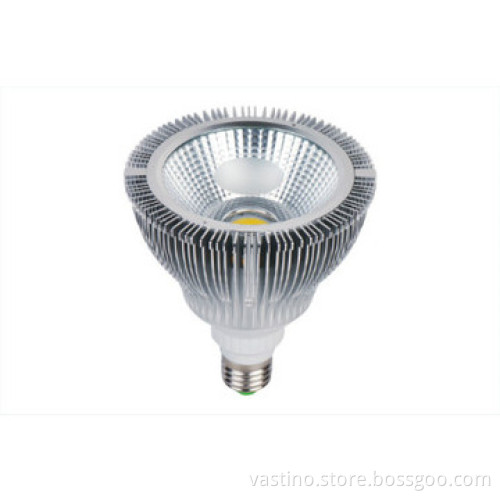 2013 VASTINO LED PAR light